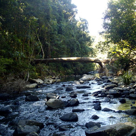 Eungella Mountain Edge Escape - Accommodation Broome 4