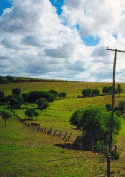 Mango Hill Cottages Bed And Breakfast - Accommodation Broome 2