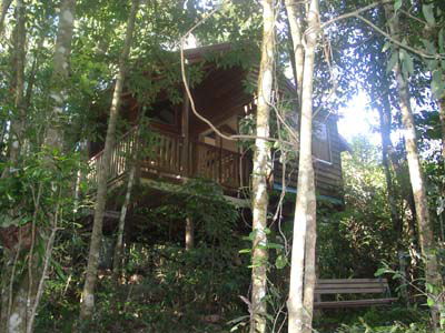 Adjinbilly Rainforest Retreat Cabins - Accommodation Broome 0