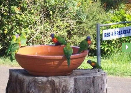 Lamb Island Bed And Breakfast - Accommodation Broome 0