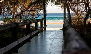 Anchorage Beachfront Island Resort - Accommodation Broome 4
