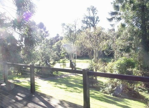 Cedarwood - Holiday Home - Accommodation Broome 0