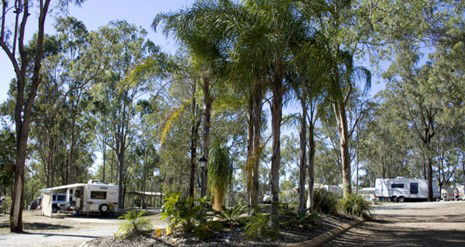 Barambah Bush Caravan Park - Accommodation Broome 1