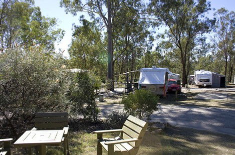 Barambah Bush Caravan Park - Accommodation Broome 3