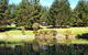 Hawke Brook Chalets - thumb 2