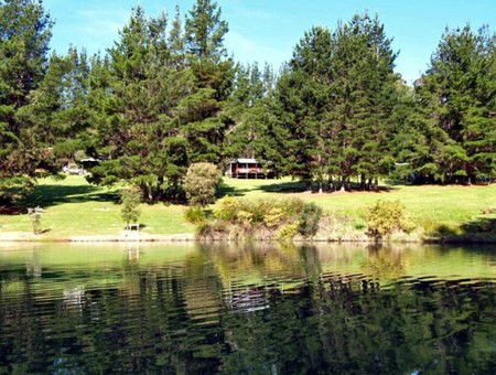 Hawke Brook Chalets - Accommodation Broome 2