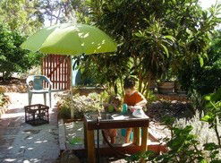 Karri Patch Cottage - Accommodation Broome 3