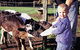 Pemberton Farm Chalets - thumb 0
