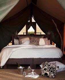 Sal Salis Ningaloo Reef - Accommodation Broome 0