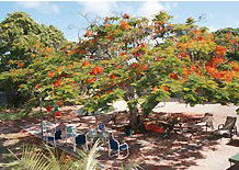 Barnacles Backpackers - Accommodation Broome 1