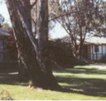 Winbi River Resort - Accommodation Broome