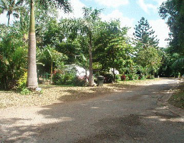 Cape Hillsborough Nature Resort - Accommodation Broome 4