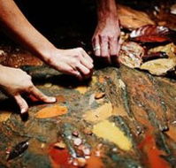 Daintree Eco Lodge And Spa - Accommodation Broome