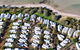 Whalers Cove Villas - thumb 0