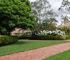Barossa Weintal Hotel Motel - Accommodation Broome 2