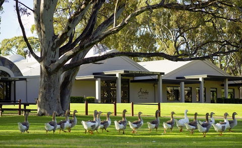 Serafino McLaren Vale - Accommodation Broome 0