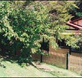 Apple Tree Cottage - Accommodation Broome