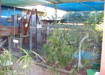 Safari Lodge Motel - Accommodation Broome 1