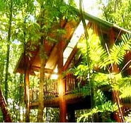 The Canopy Treehouses - Accommodation Broome