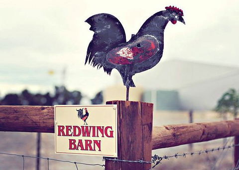 Redwing Farm - The Barn - Accommodation Broome 0