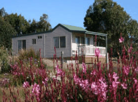 Daysy Hill Country Cottages - Accommodation Broome 5