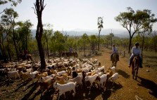 Kroombit Park At Lochenbar Station - Accommodation Broome 1