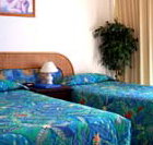 International Beach Resort - Accommodation Broome