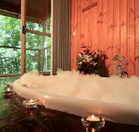 Tree Houses Of Montville - Accommodation Broome