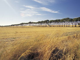 Port Wakefield Motel - Accommodation Broome 0