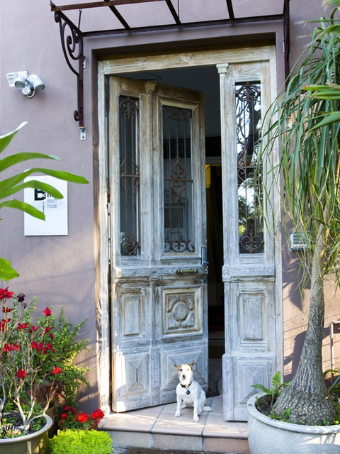 Bondi Beach House Accommodation - Accommodation Broome 0