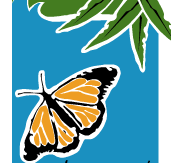 Wanderers Retreat - Accommodation Broome