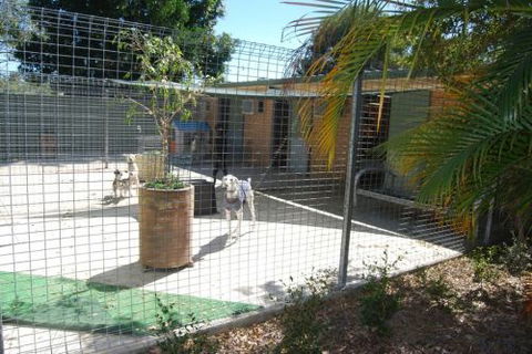 Beenleigh Pet Motel - Accommodation Broome 4