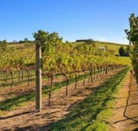 DeVine Escape - Accommodation Broome