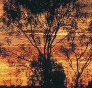 Tilmouth Well - Accommodation Broome