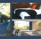 The Albany - Accommodation Broome