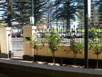 Grandview House Apartments - Accommodation Broome 5