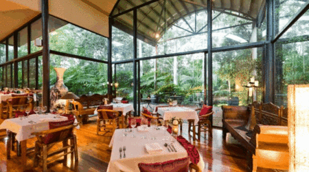 Pethers Rainforest Retreat - Accommodation Broome 1