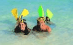 Adventure Island Whitsundays (south Molle Island) - Accommodation Broome 5