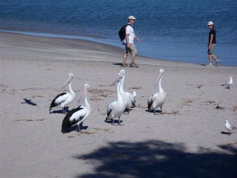 Kalbarri Accommodation Service - Accommodation Broome 5