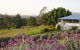 Blue Ridge Lavender Farm And Retreat - thumb 0