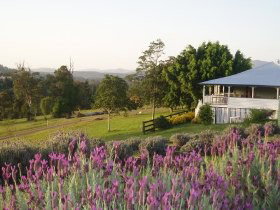 Blue Ridge Lavender Farm And Retreat - Accommodation Broome 0