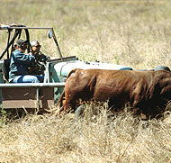 Bullo River Station - Accommodation Broome