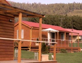 Maydena Country Cabins And Alpacas - Accommodation Broome 0