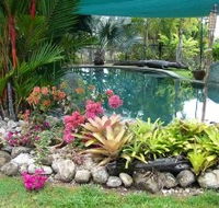 Daintree Wild Bed And Breakfast - Accommodation Broome