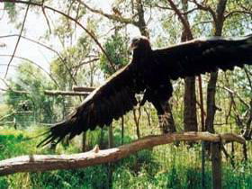 Ashton SA Accommodation Broome