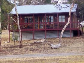 Ivybrook Vineyard Cottage - Accommodation Broome 0