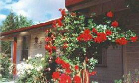 Epping Forest TAS Accommodation Broome