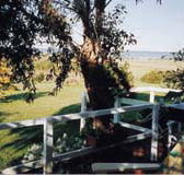 Kidogo Cottage - Accommodation Broome