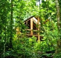 Fur'N'Feathers Rainforest Tree Houses - Accommodation Broome