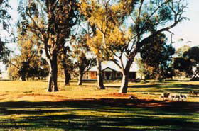 Blue Gum House - Accommodation Broome 0